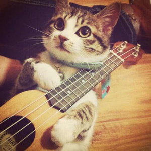 国模于子涵大战摄影师
